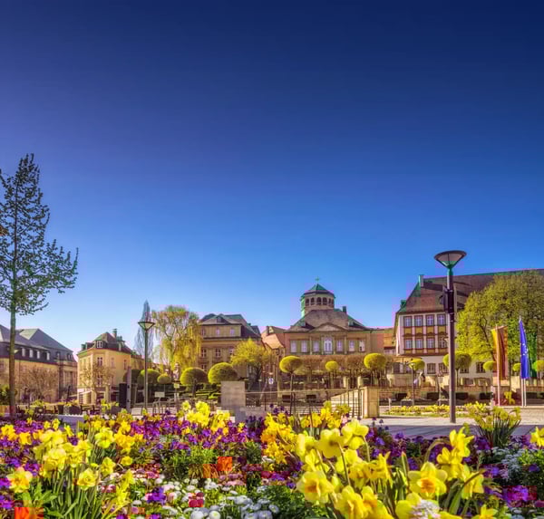 Frühlingsbeet mit gelben und violetten Blumen vor historischen Gebäuden unter blauem Himmel in Bayreuth.