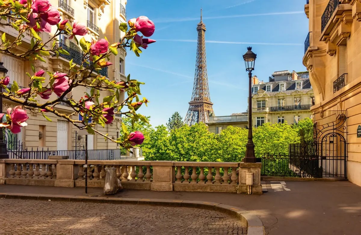 Eiffelturm zwischen eleganten Pariser Wohnhäusern und blühender Magnolie im Frühling.