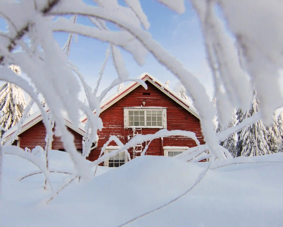 Ein traditionelles rotes Holzhaus, umgeben von tief verschneiten Bäumen und einer märchenhaften Winterlandschaft in Finnisch Lappland. Die vereisten Äste rahmen die Szene ein und verleihen ihr eine besonders gemütliche Atmosphäre.