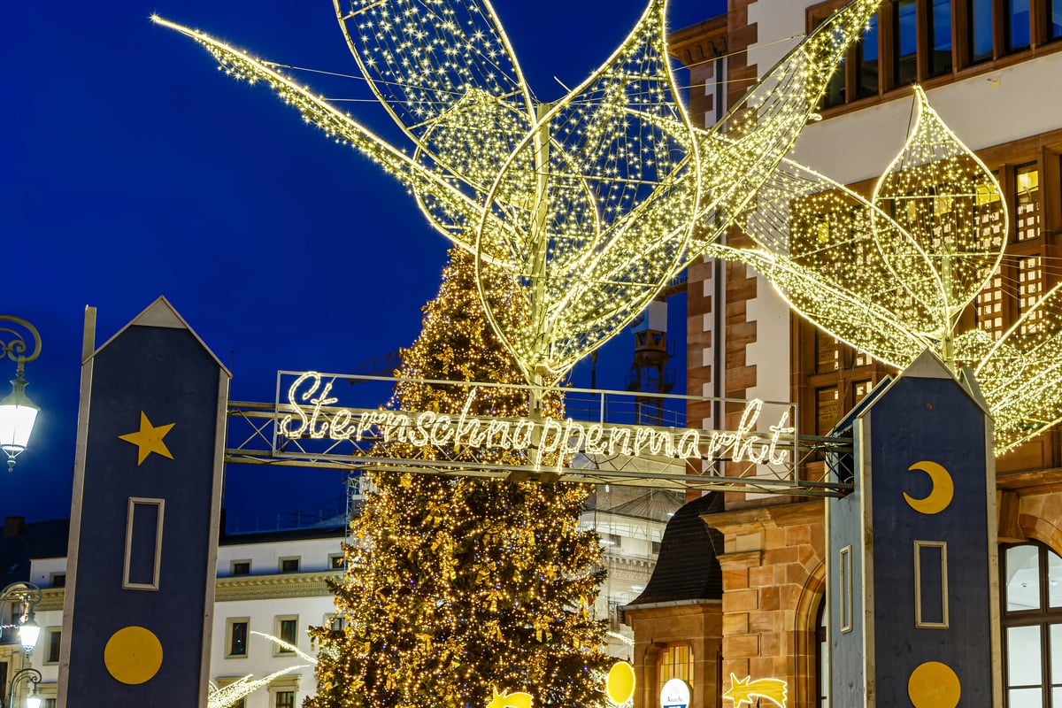 Weihnachtsmarkt in Wiesbaden mit beleuchtetem Tor, großem Weihnachtsbaum und Lichtskulpturen