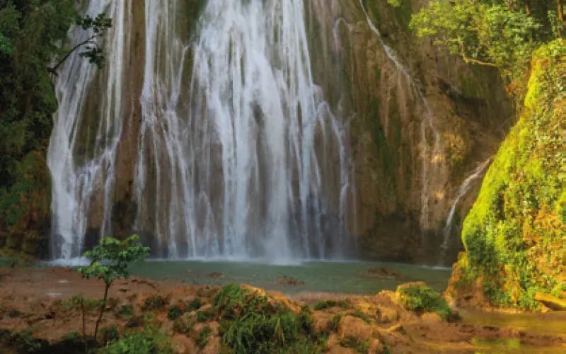 Üppiger Wasserfall inmitten tropischer Vegetation in der Karibik