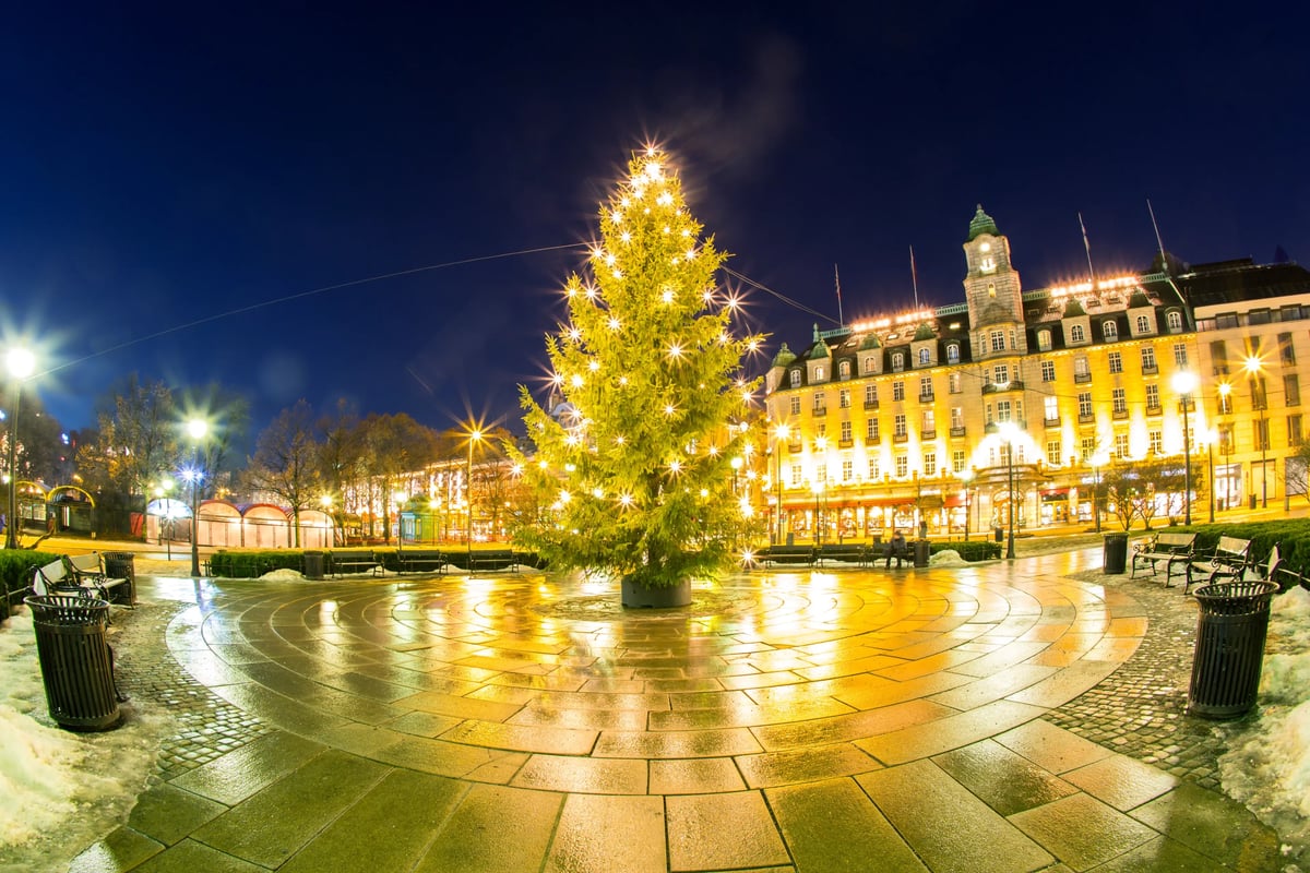 Beleuchteter Weihnachtsbaum auf einem Platz bei Nacht mit spiegelndem nassem Boden und festlich erleuchteten Gebäuden.