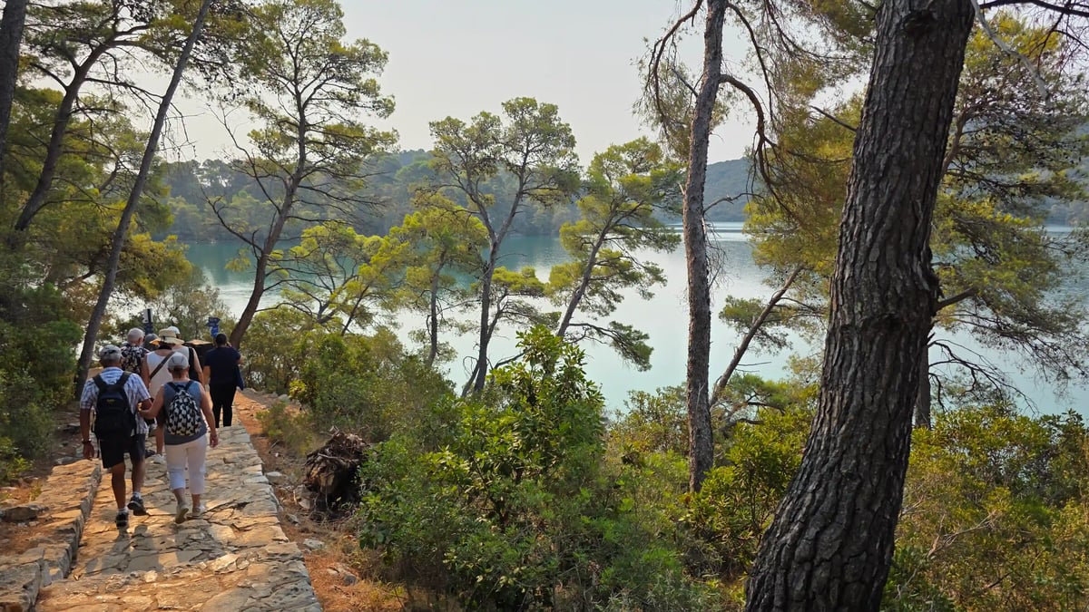 Sentier ombragé traversant une forêt méditerranéenne sur une île de la côte croate