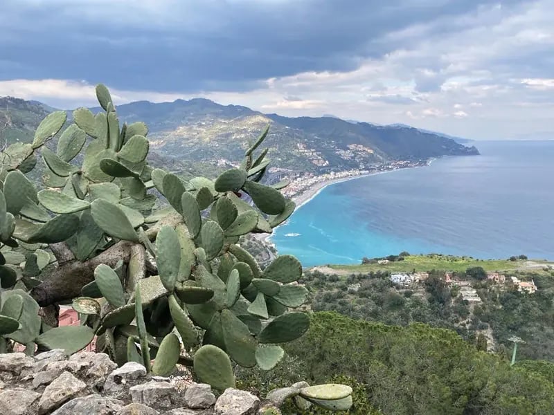 Küstenlandschaft mit Kakteen im Vordergrund, türkisfarbenem Meer und Bergen im Hintergrund