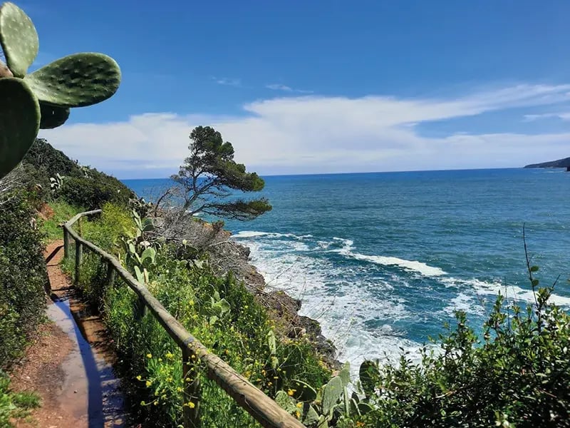 Küstenweg mit Pflanzen und Blick auf das Meer mit Wellen