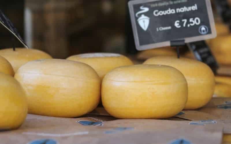 Gouda - Weltbekannt für ihren Käse800x500