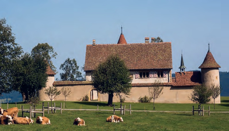 Un petit château de rêve dans le Jura 1