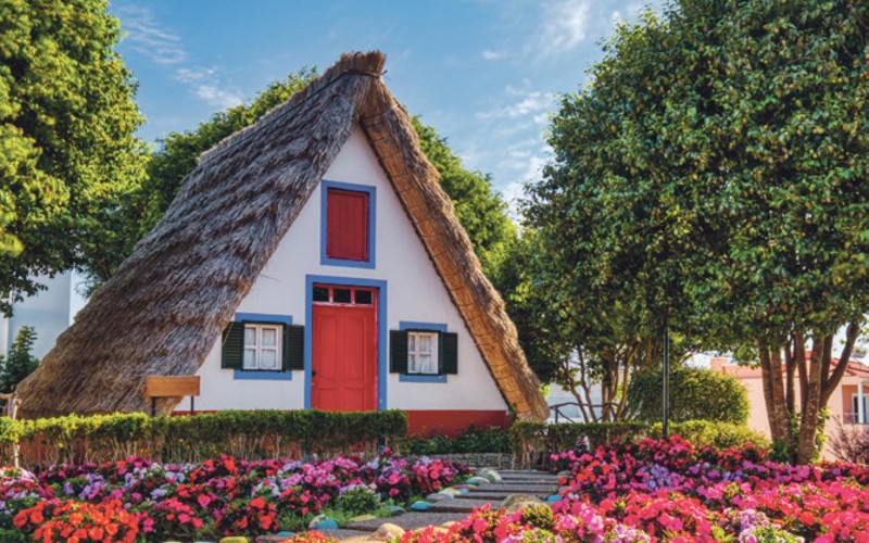 Madère, l'île aux fleurs 3