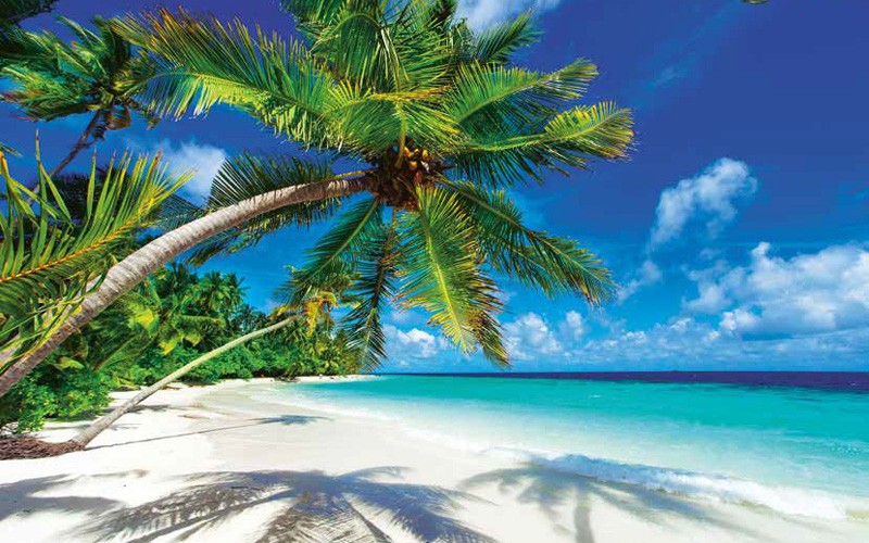 Tour du monde - Costa Deliziosa 28 3