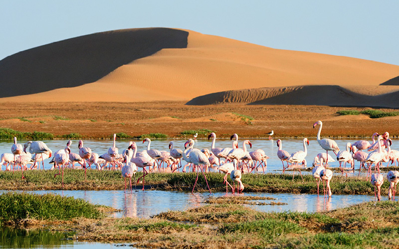 Tour du monde - Costa Deliziosa 28 14